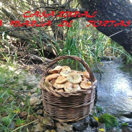 Paterna del Madera La Maria De Tortas 게스트하우스 외부 사진