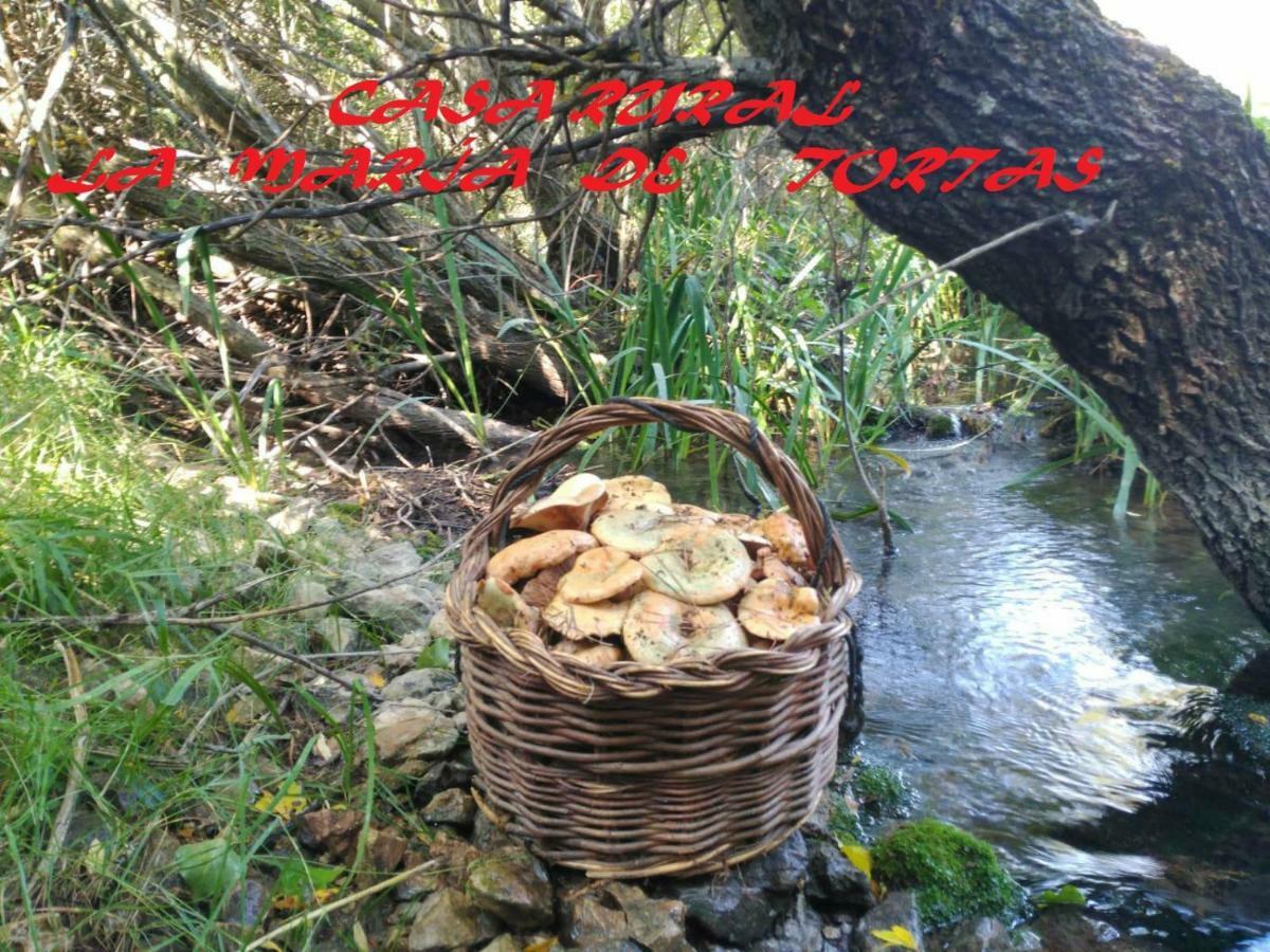 Paterna del Madera La Maria De Tortas 게스트하우스 외부 사진